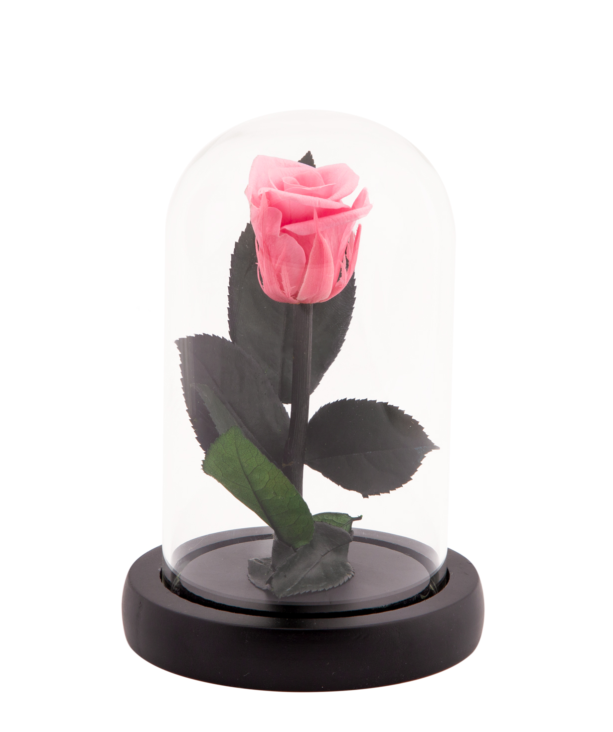 Rose `EM Flowers` eternal pink 13 cm in a flask