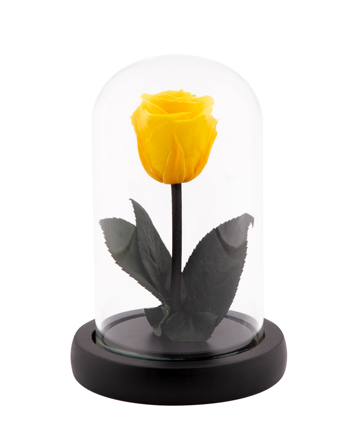 Rose `EM Flowers` eternal yellow 13 cm in a flask