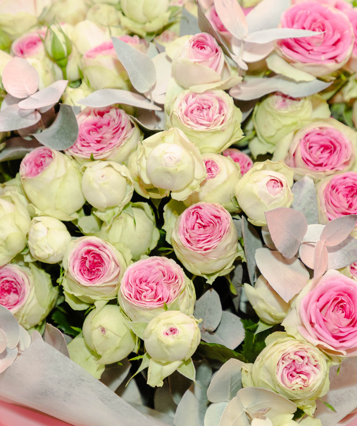 Bouquet «Floriani» with spray roses №15