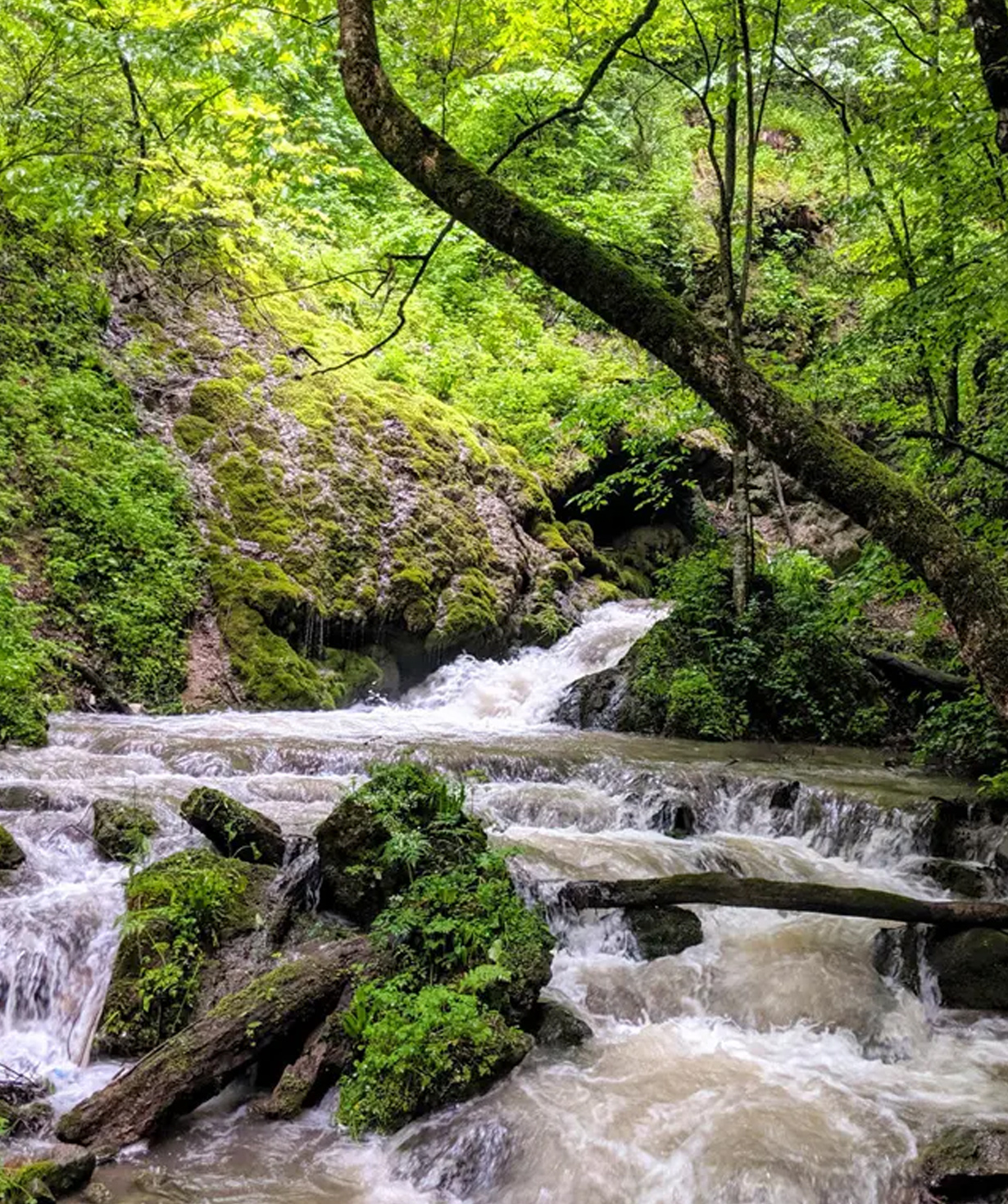 Buggy tour «Dilijan Adventures» Haghartsin via Mountains and Hidden Waterfall, 3 people