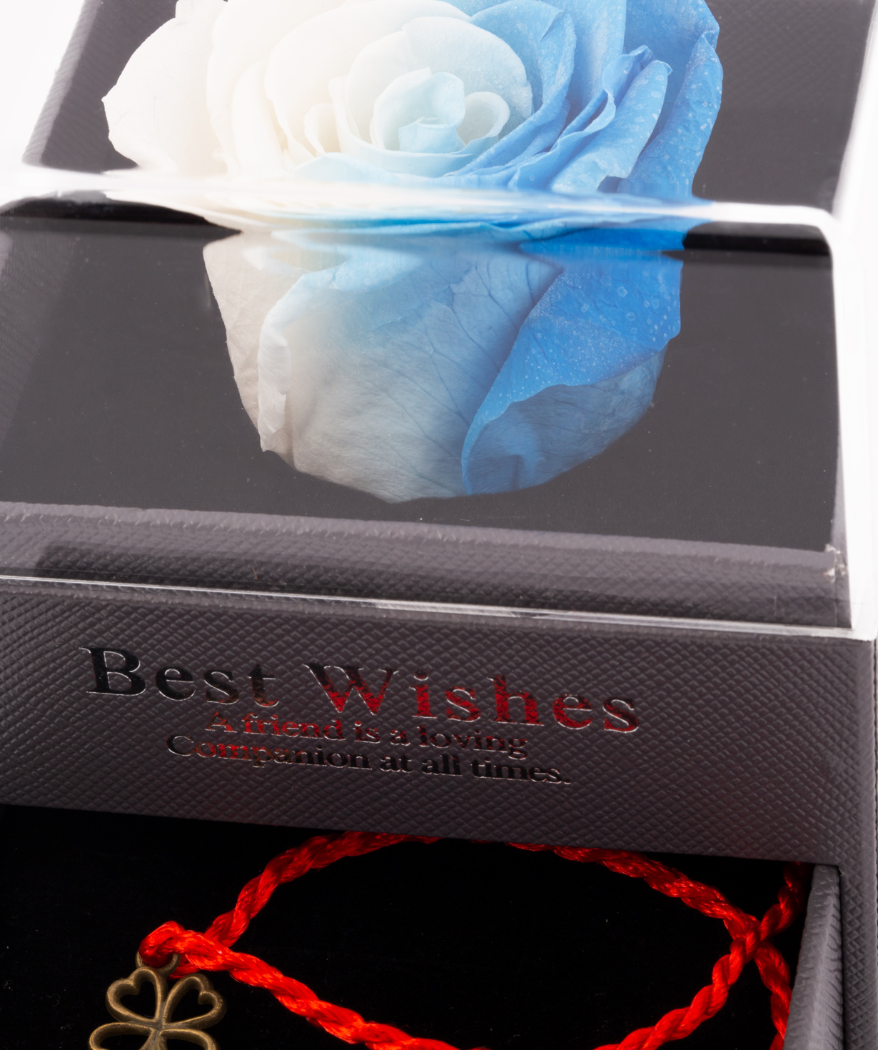 Rose `EM Flowers` eternal white-blue with a talisman