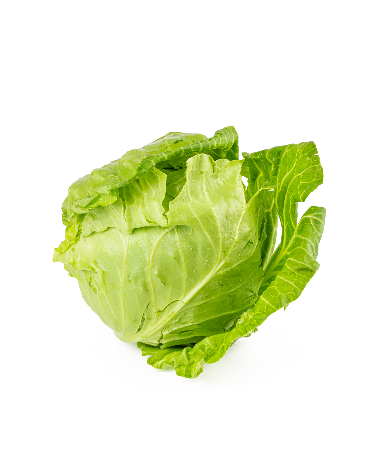 Cabbage  1-1.5 kg