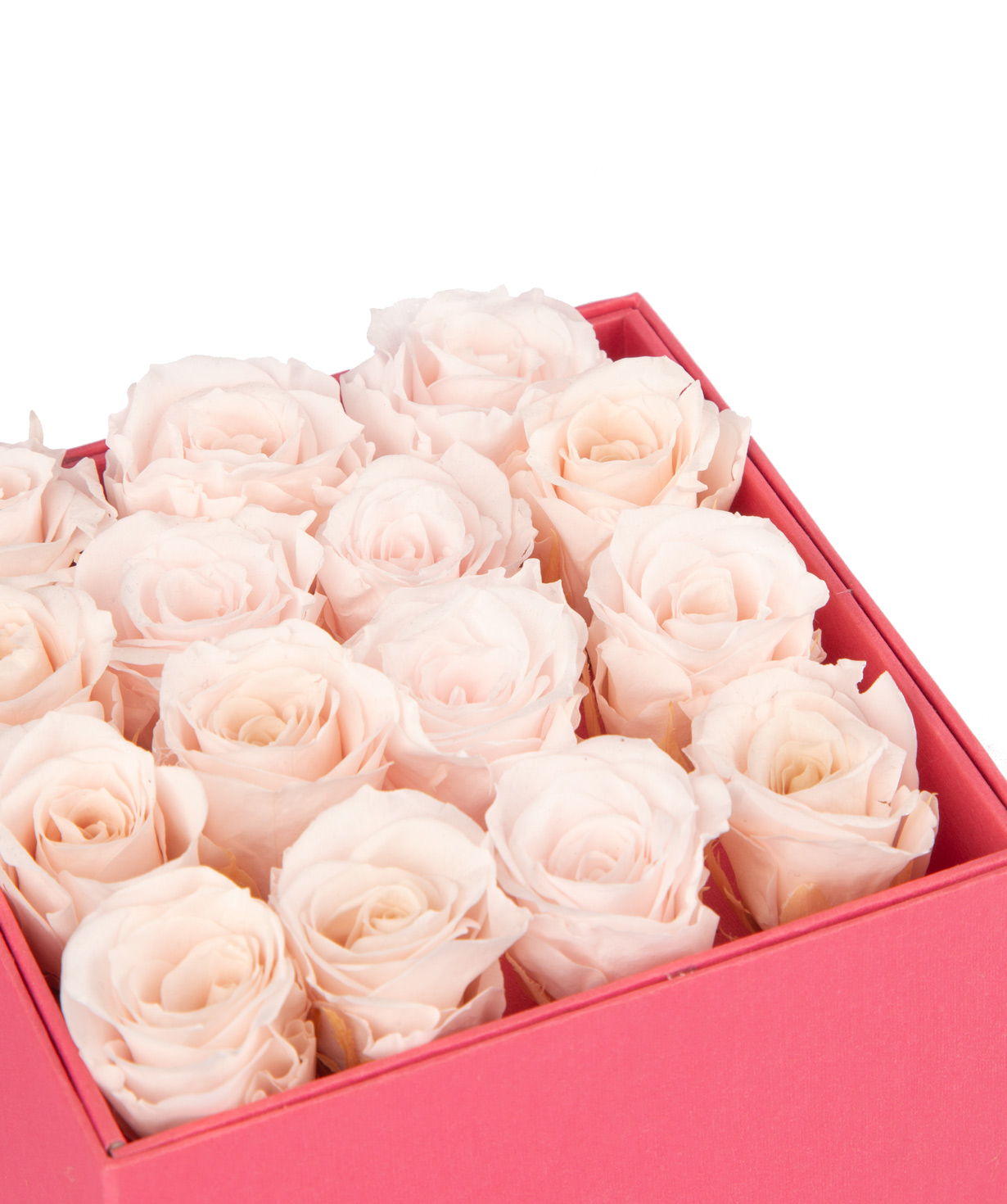 Rose `EM Flowers` eternal, in a box, pink