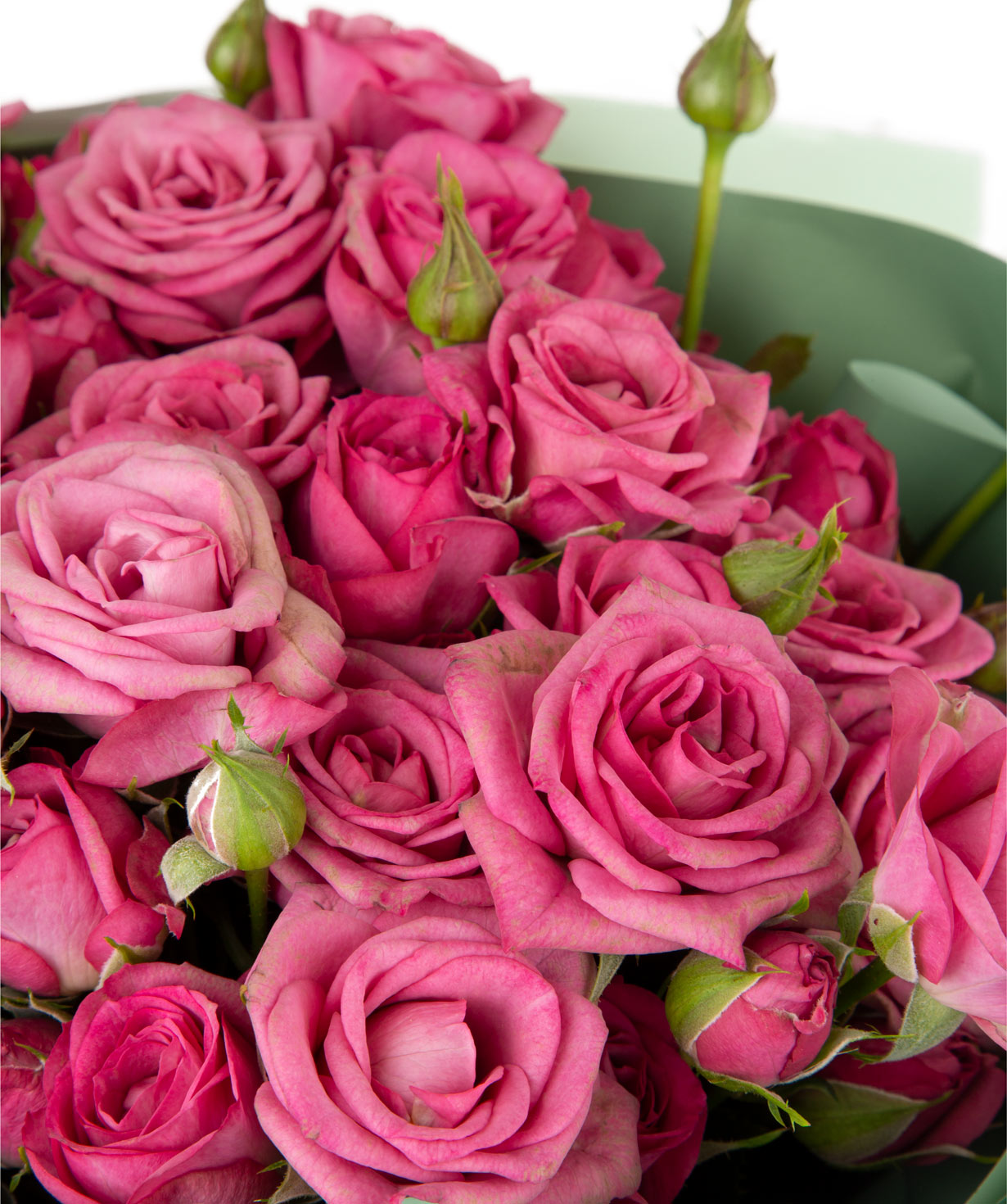 Bouquet `Lisabon`  bush rose