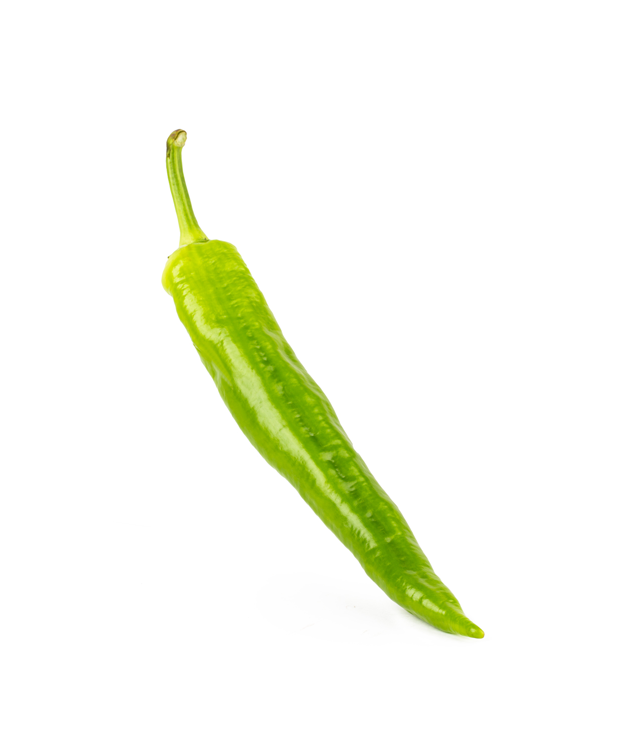 Hot pepper 1  pcs