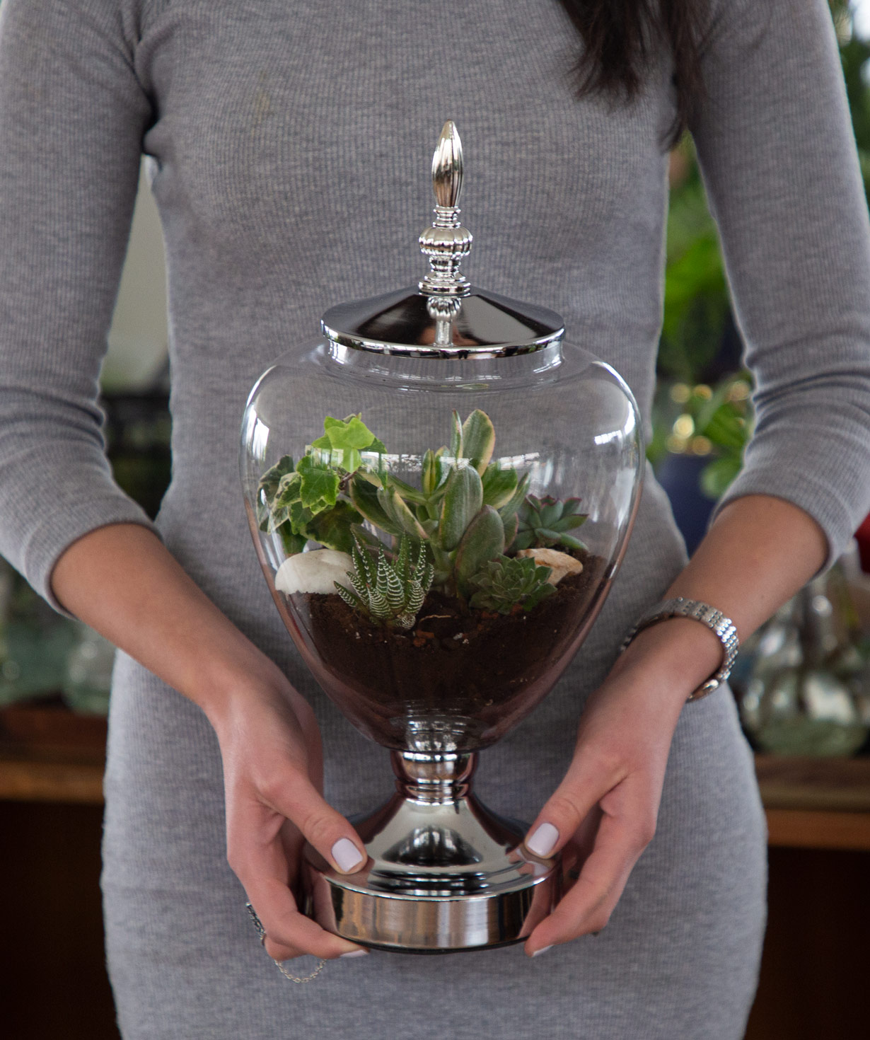 Florarium `Goblet` with succulents