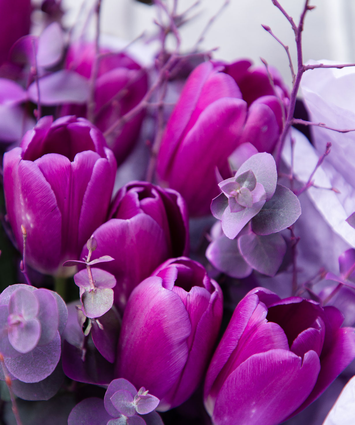 Bouquet «Attica» with tulips