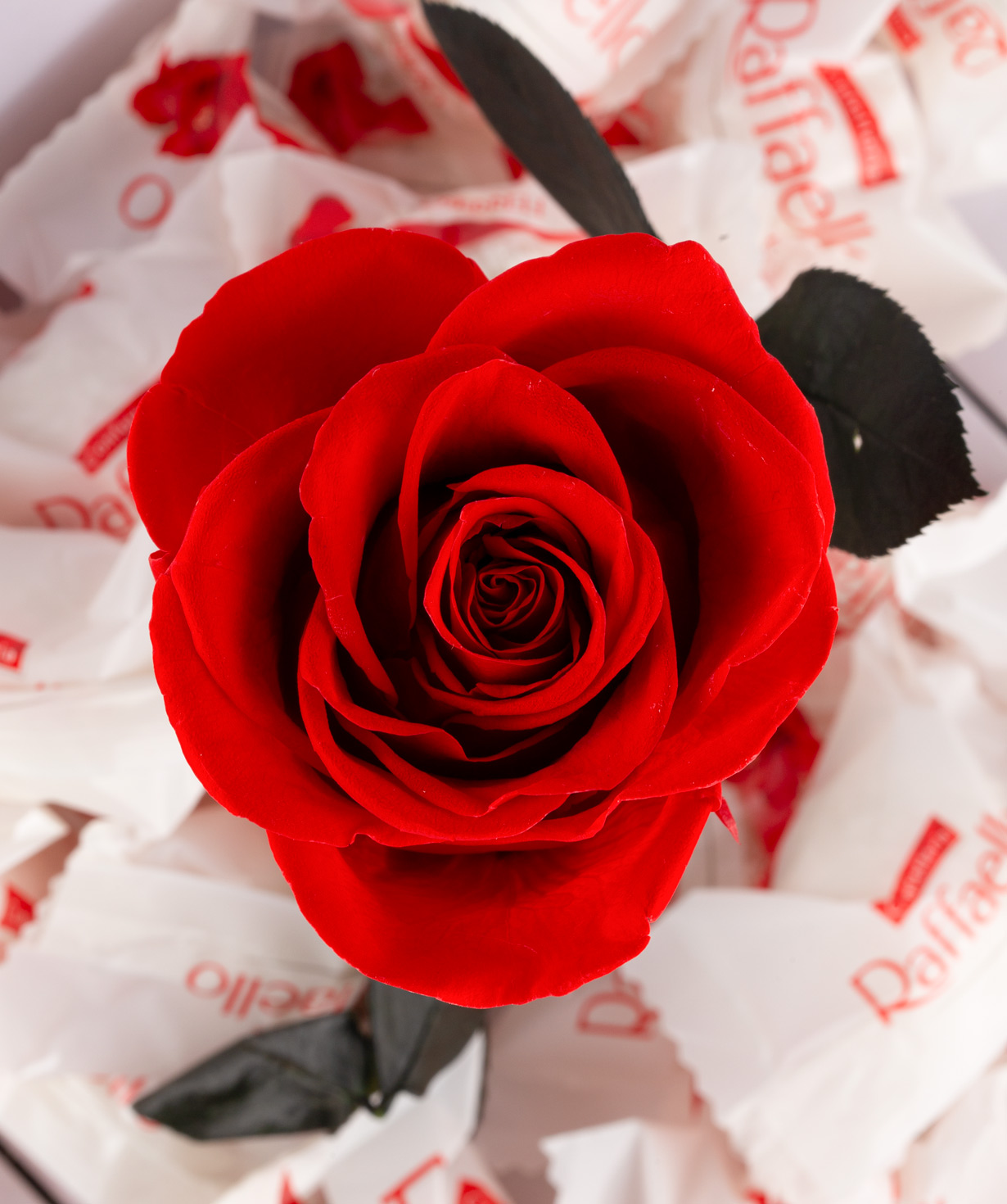Роза `EM Flowers` красная вечная с конфетами