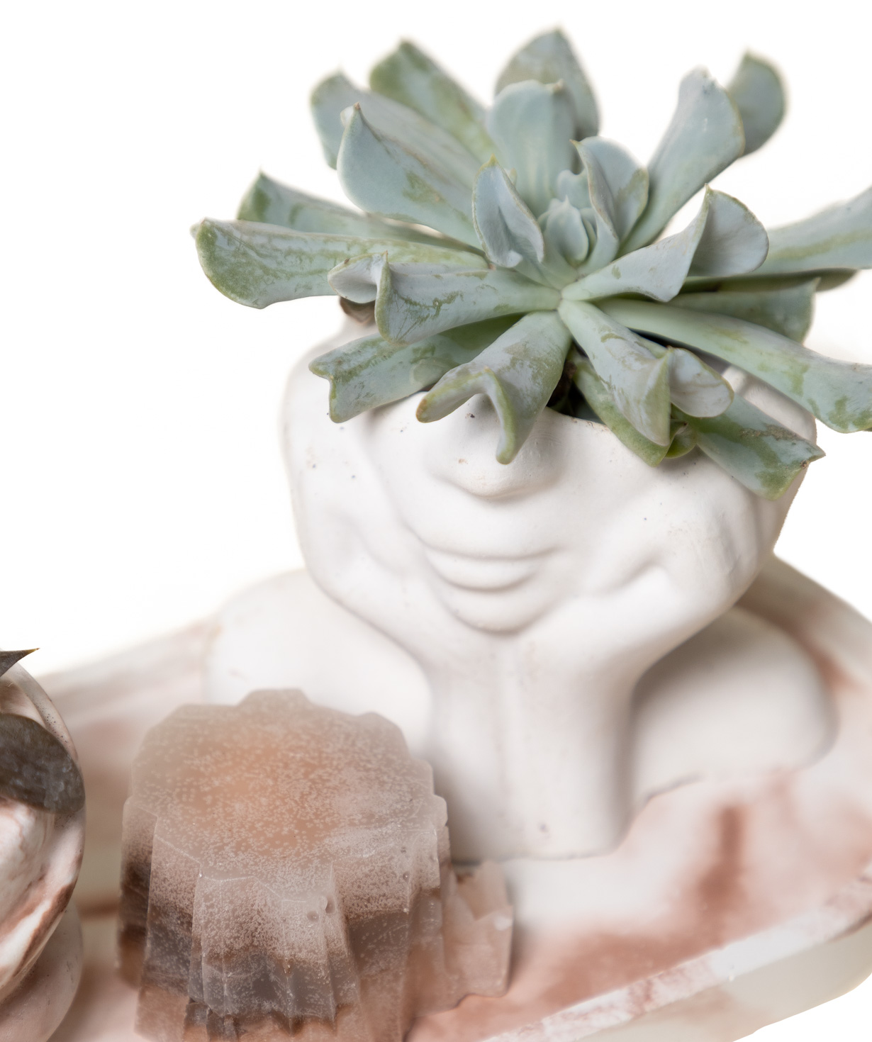 Gift set «Eco Garden» plant and candle №82