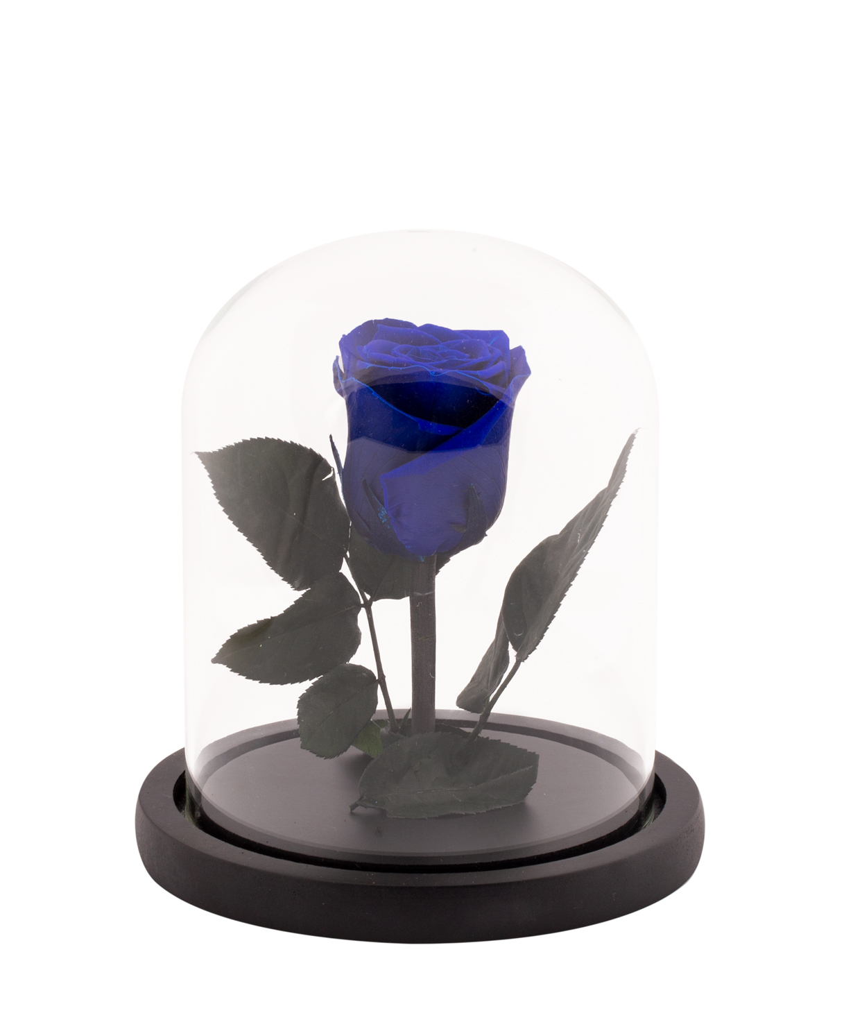 Rose `EM Flowers` eternal blue 17 cm in a flask
