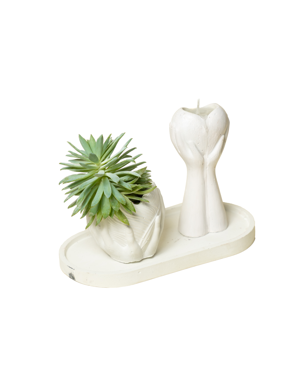 Gift set «Eco Garden» plant and candle №78