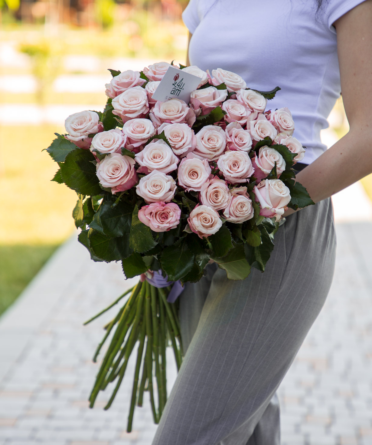 Розы «Lady raphaella»  светло-розовые  29 шт