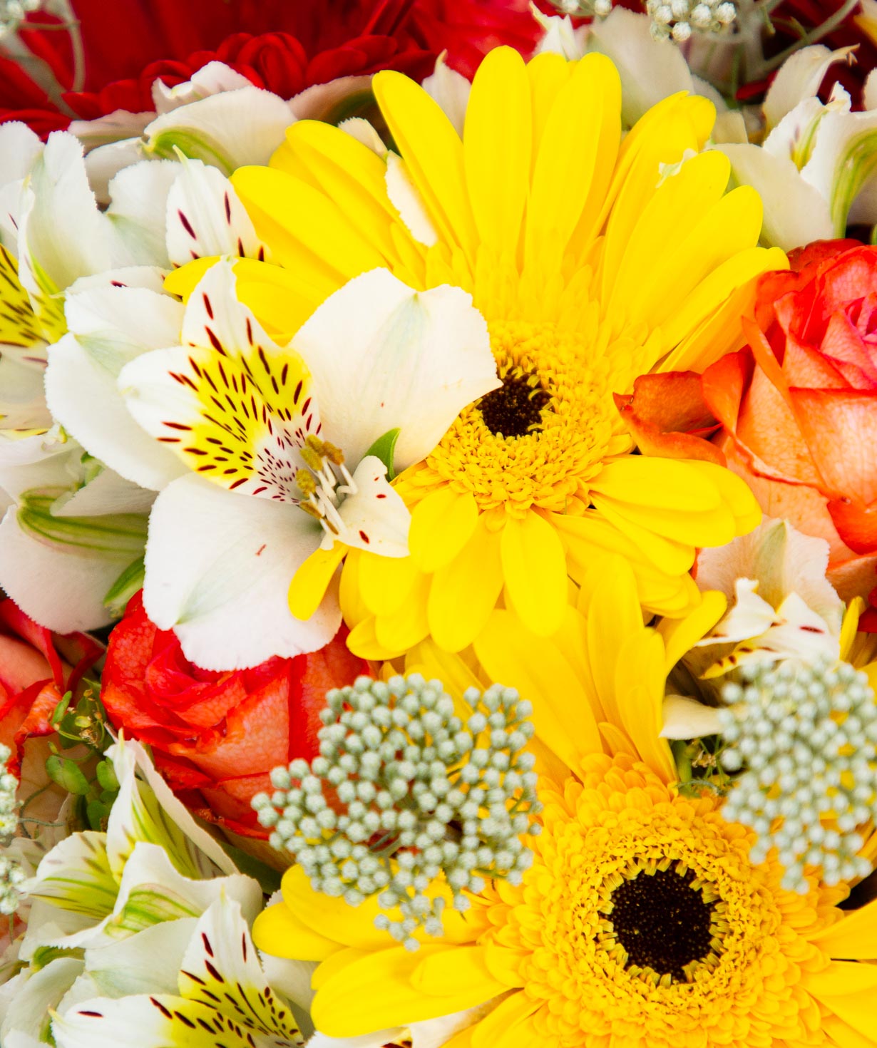 Bouquet `Arpis flowers` №6