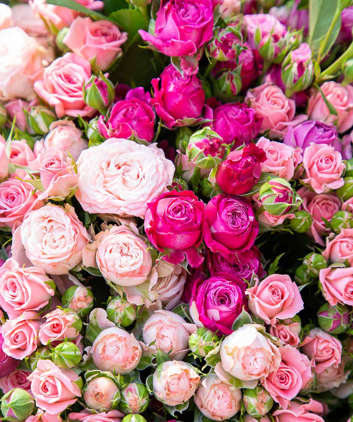 Ծաղկեփունջ «Բիանկո» փնջային վարդերով, 70 սմ