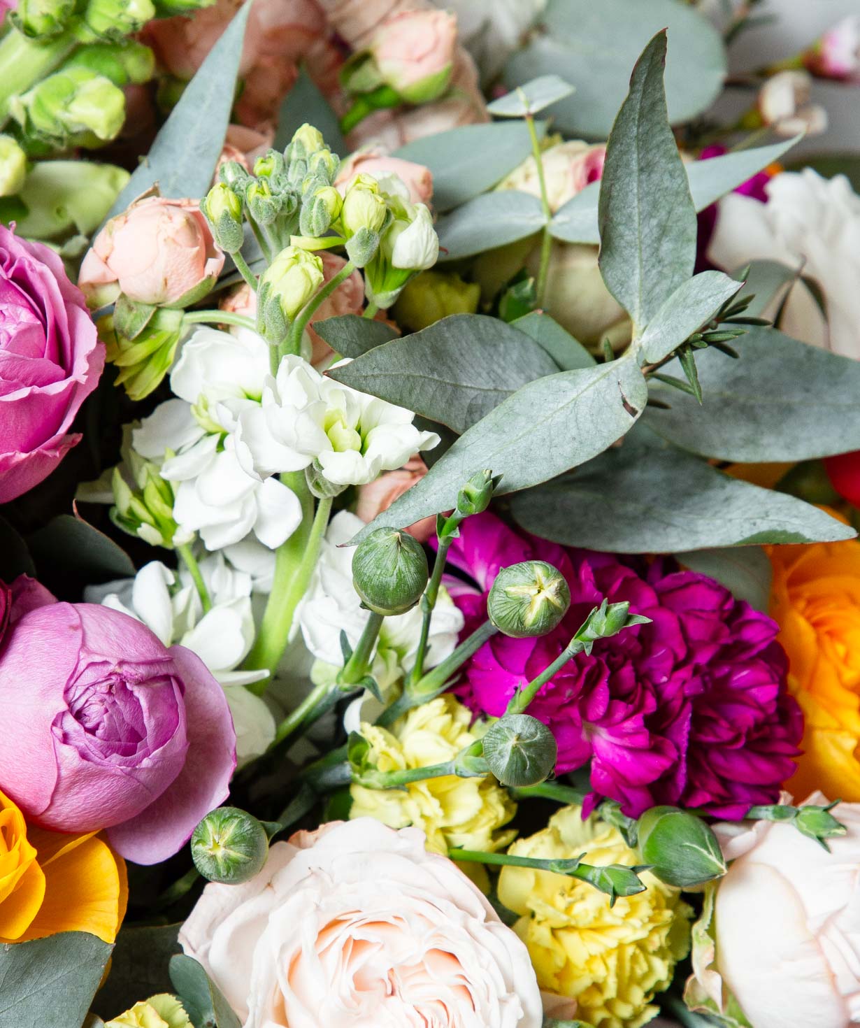 Composition ''Avenue Des Fleurs'' with roses