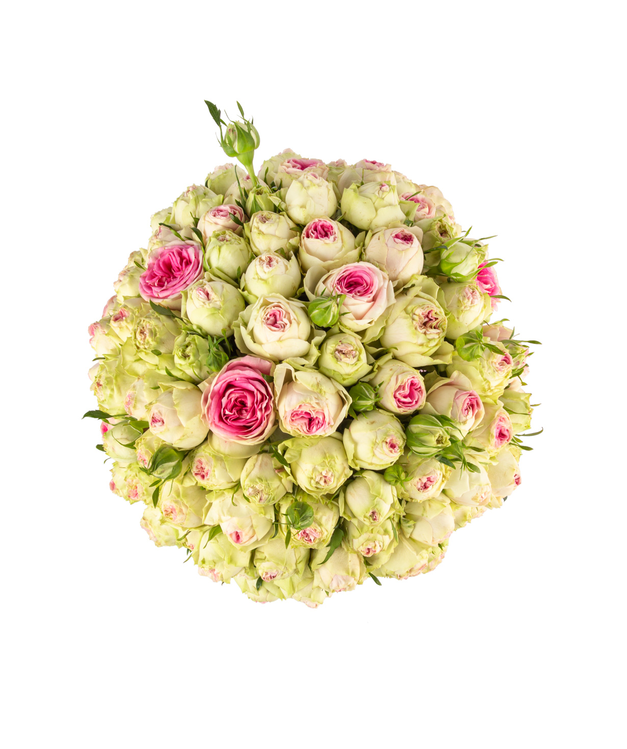 Composition `Selen` with bush peony roses