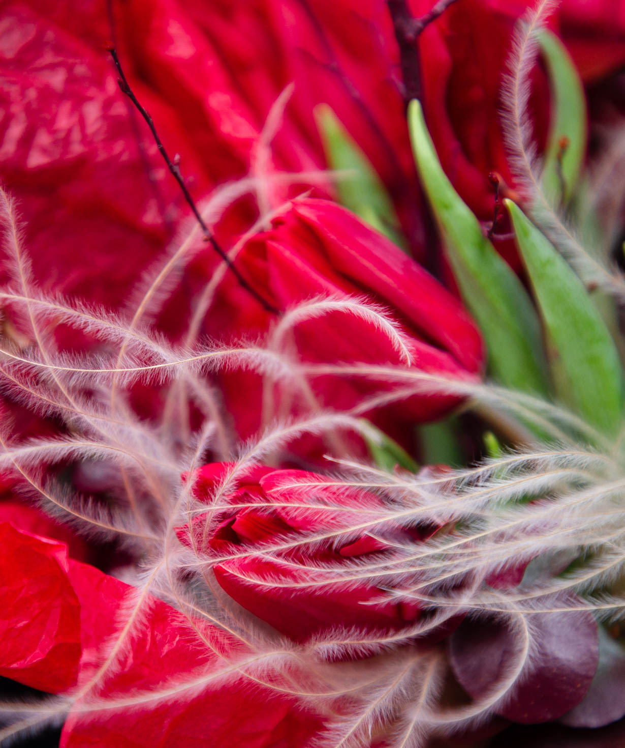 Bouquet «Amfissa» with tulips