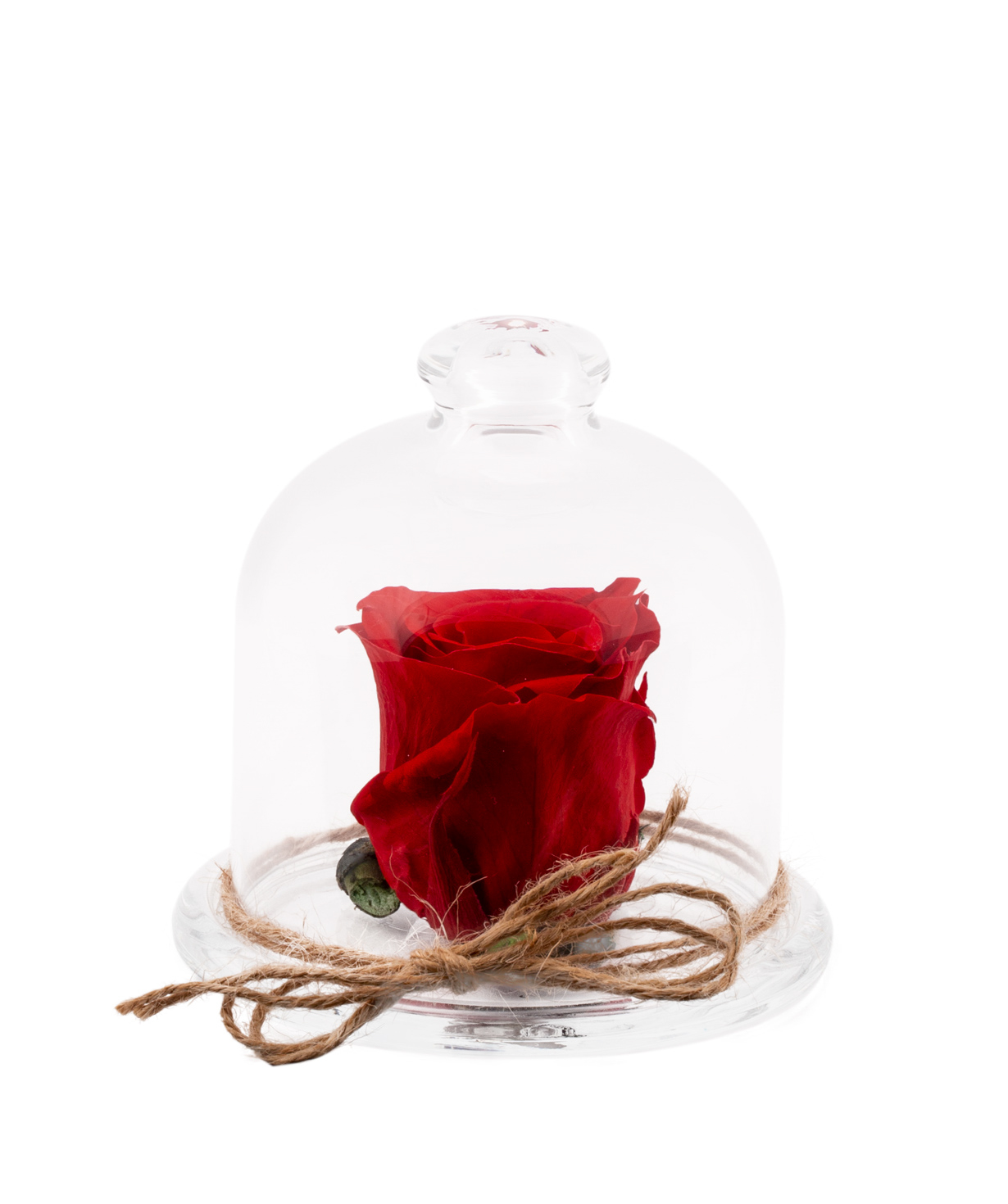 Роза `EM Flowers` вечная красная 10 см в колбе