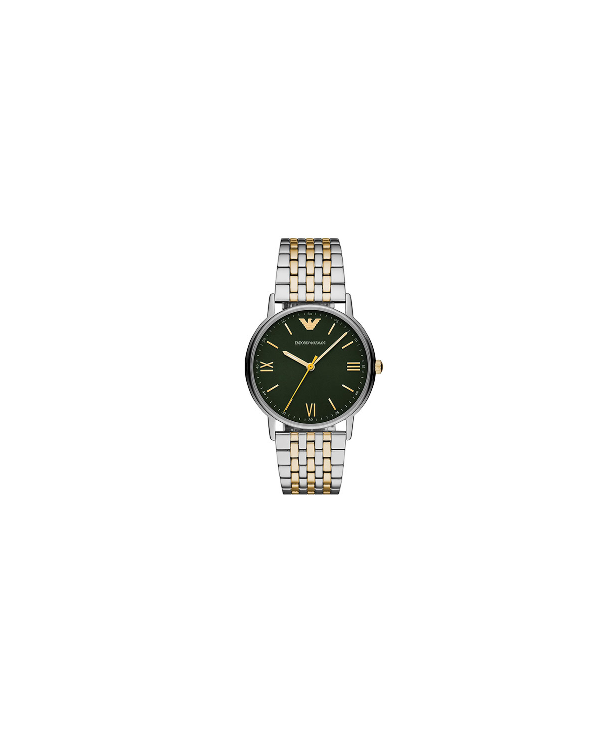 Watches Fossil Group AR11228