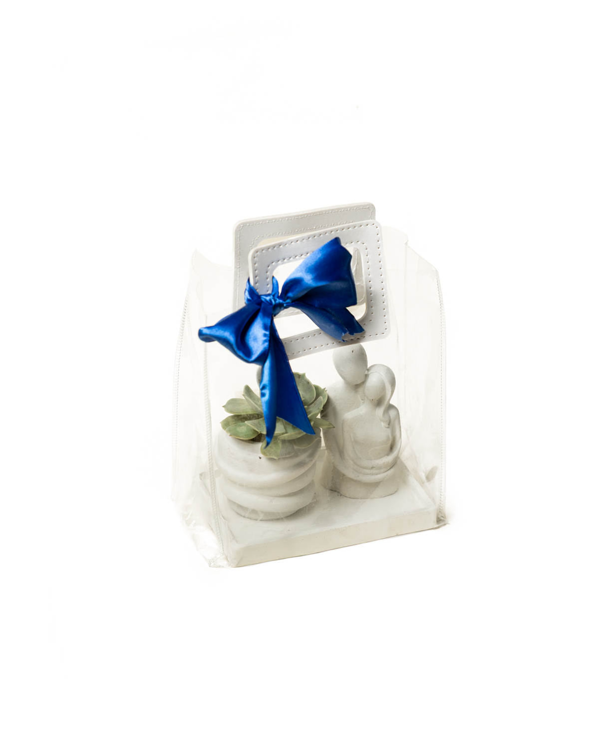 Gift set «Eco Garden» plant and statuette №83