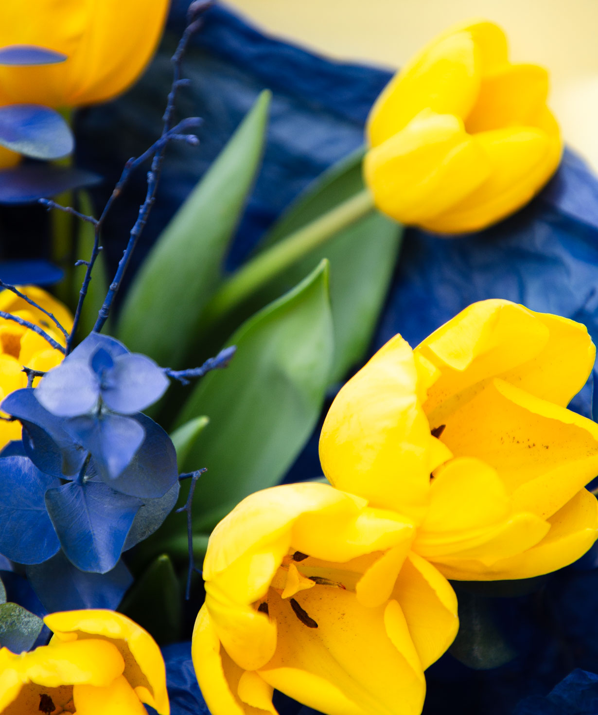 Bouquet «Afantou» with tulips
