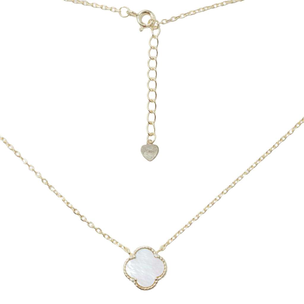 Silver necklace «SiaMoods» SN151WGP