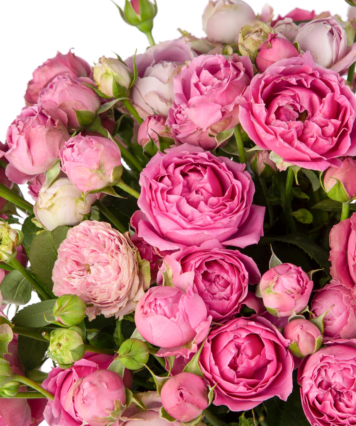 Композиция `Dior` с пионовидными розами