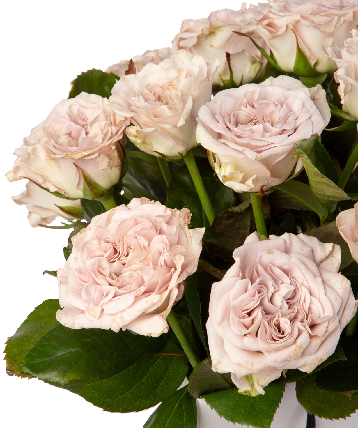 Composition `Chanel` with roses