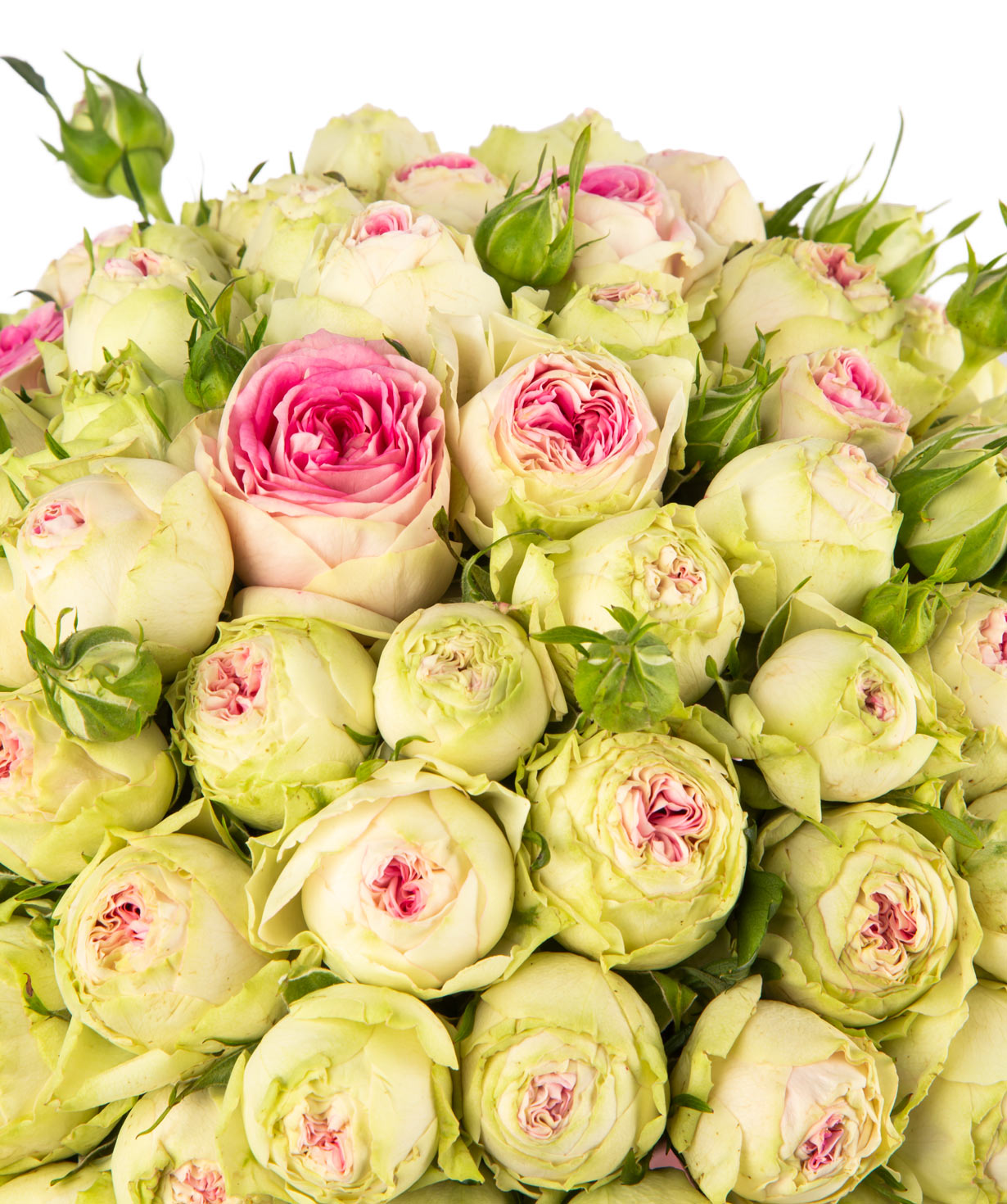 Композиция `Селен` с букетными пионовидными розами