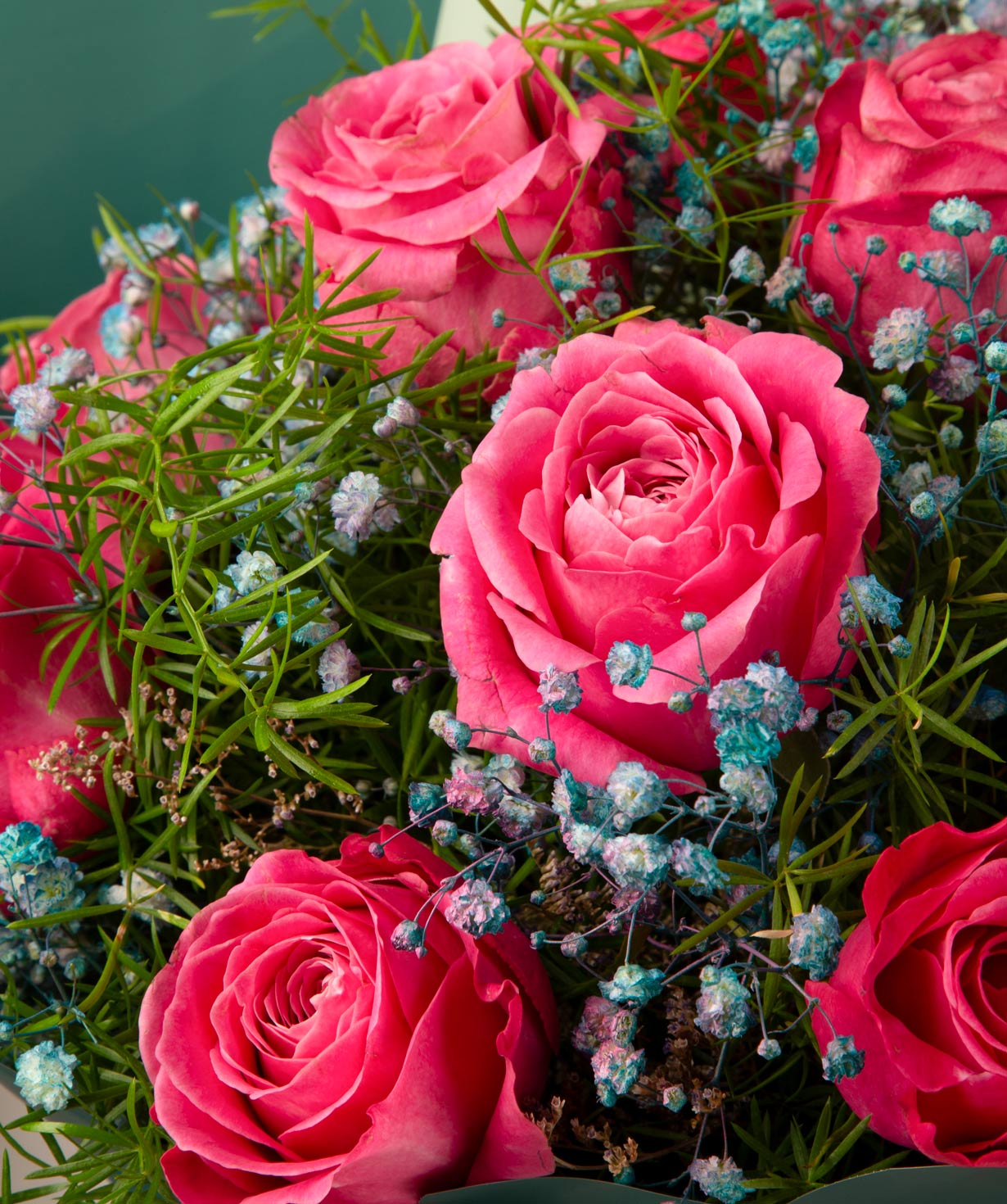 Ծաղկեփունջ «Պադուլես» վարդերով և գիպսոֆիլիաներով