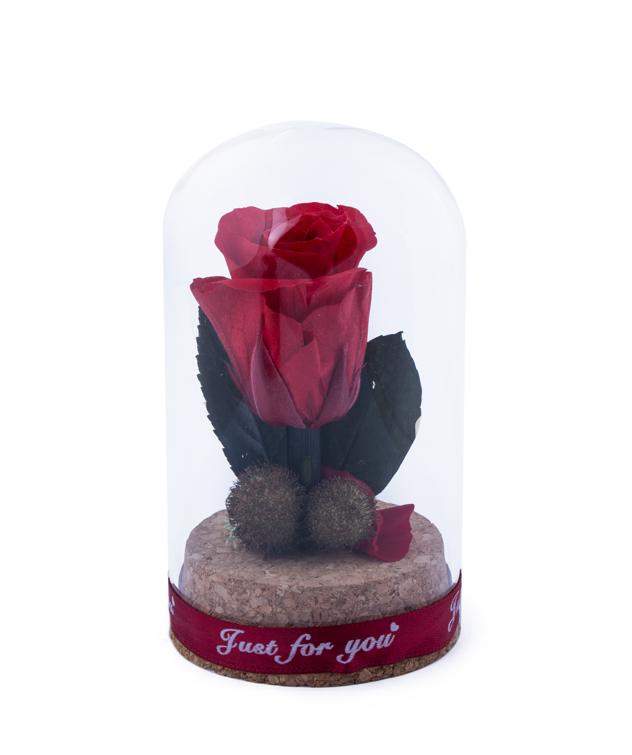 Роза `EM Flowers` мини вечная красная 10 см