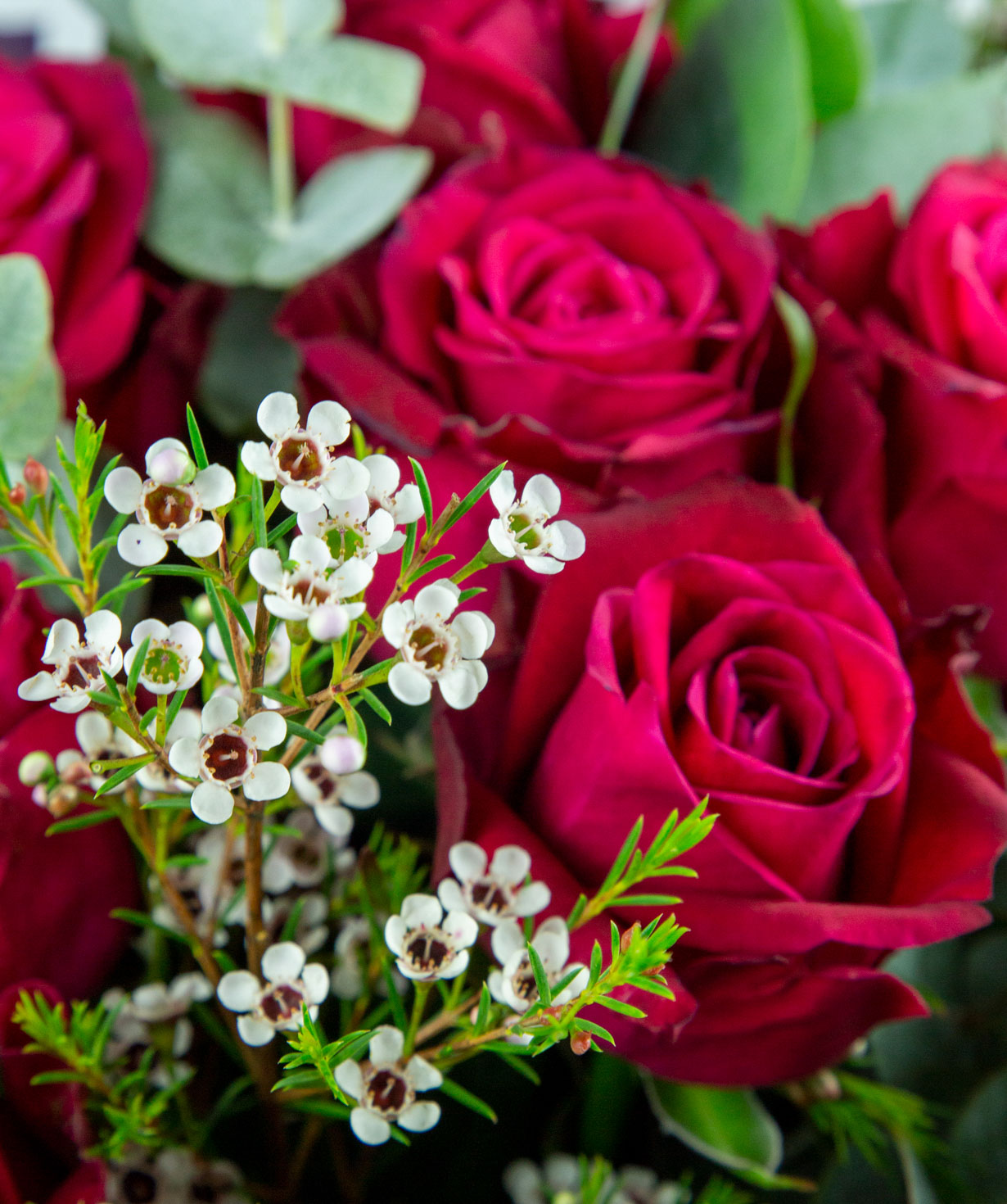 Bouquet `Acharoli` with red roses