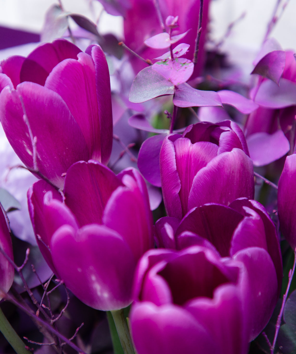 Bouquet «Attica» with tulips