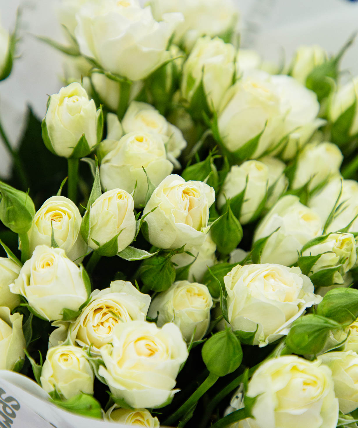 Букет «Псара» с кустовыми розами