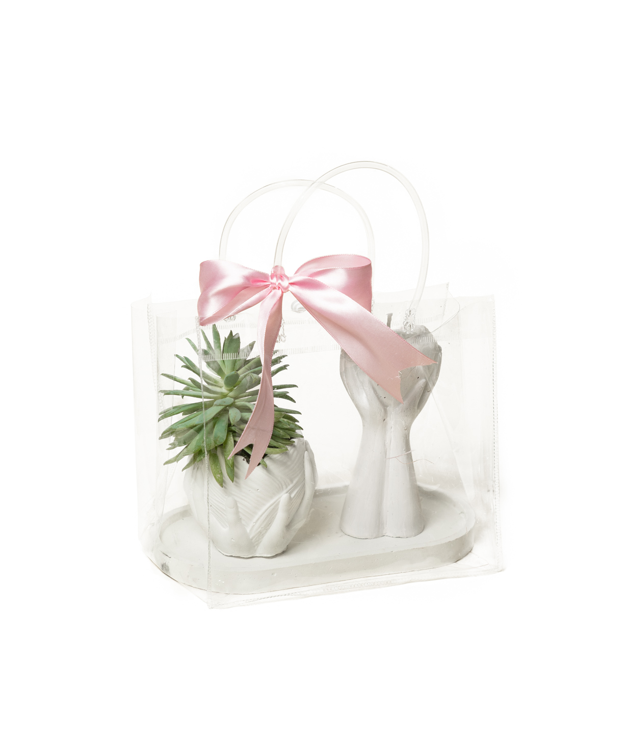 Gift set «Eco Garden» plant and candle №78