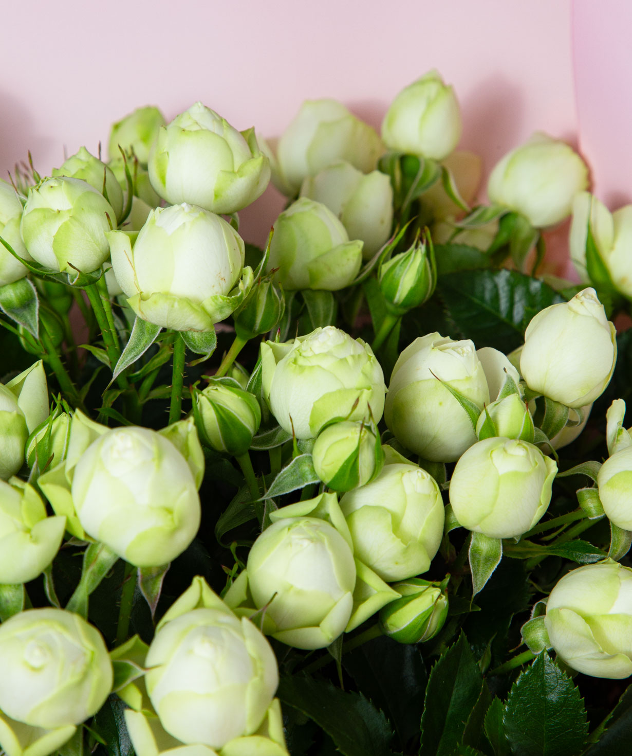 Bouquet «Okinawa» with spray roses