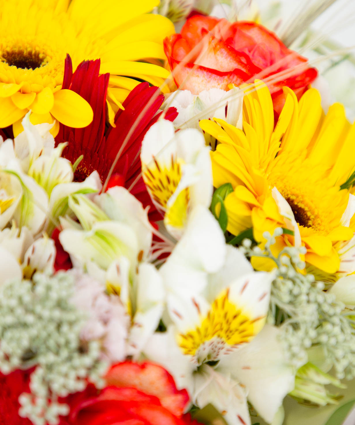 Bouquet `Arpis flowers` №6