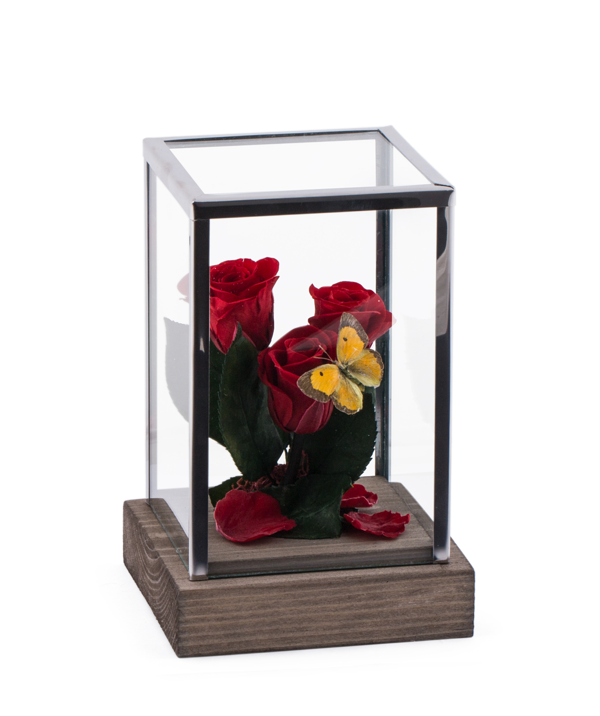 Roses `EM Flowers` eternal red 18 cm