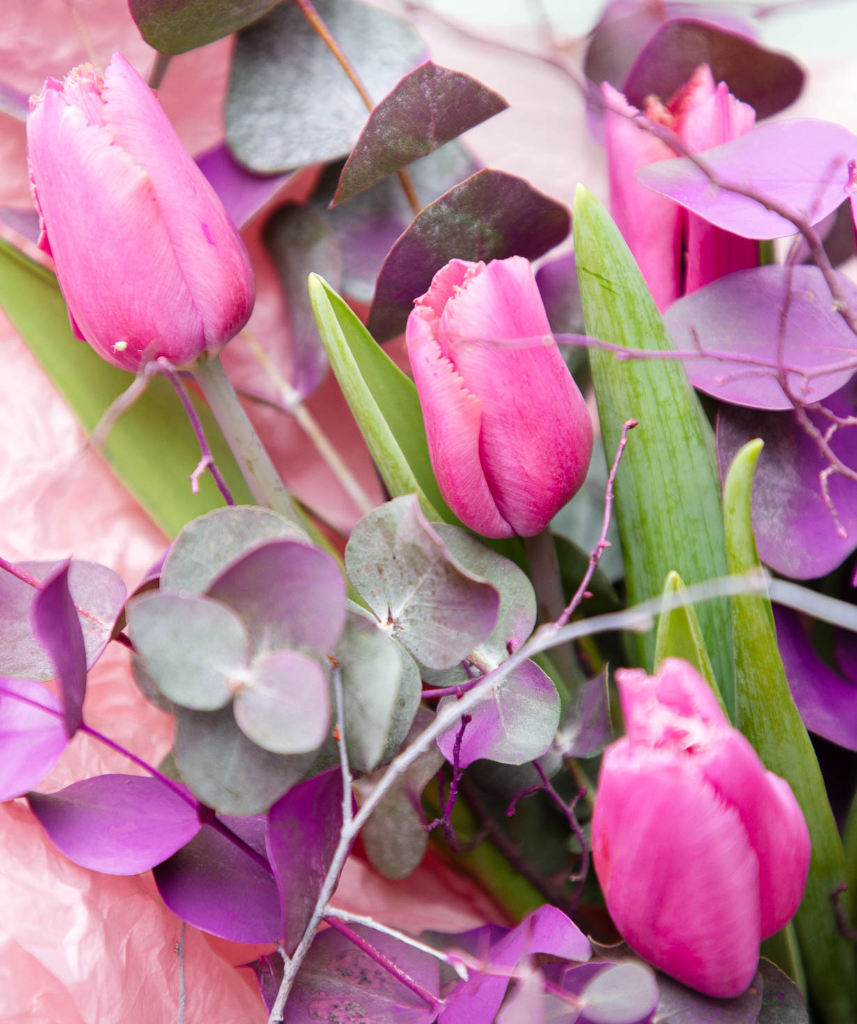 Bouquet «Agrinion» with tulips