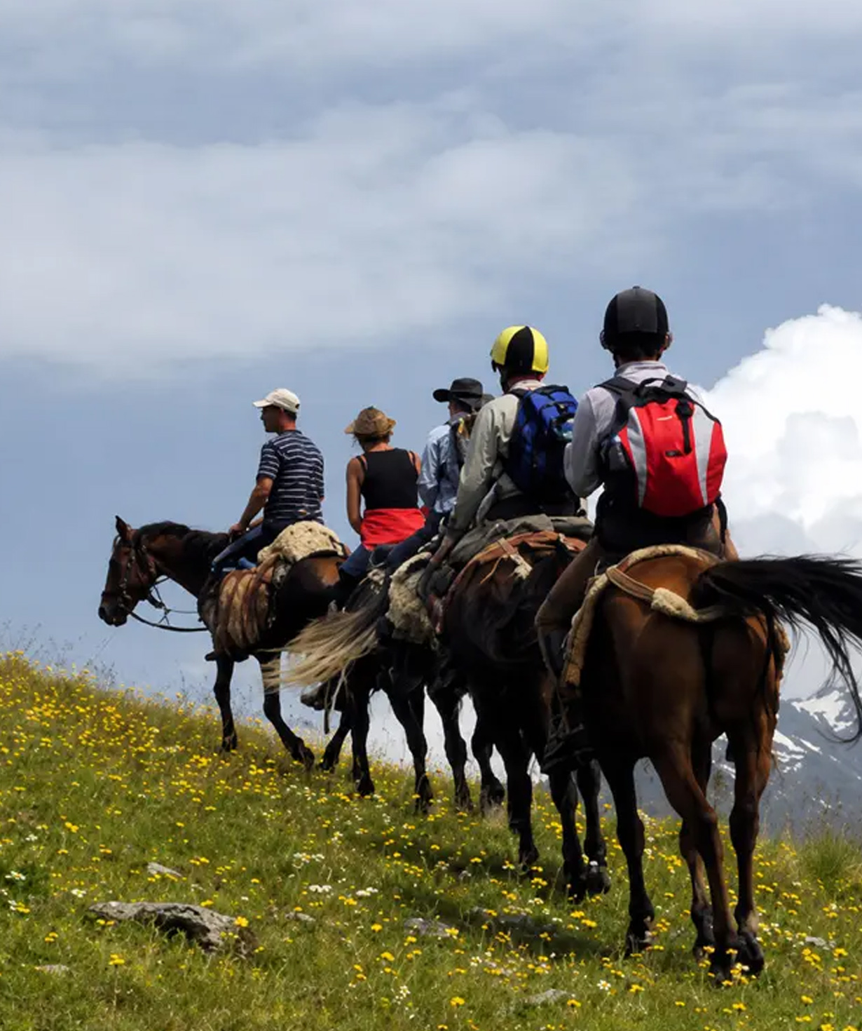Buggy tour «Dilijan Adventures» Horse Riding, 3 people