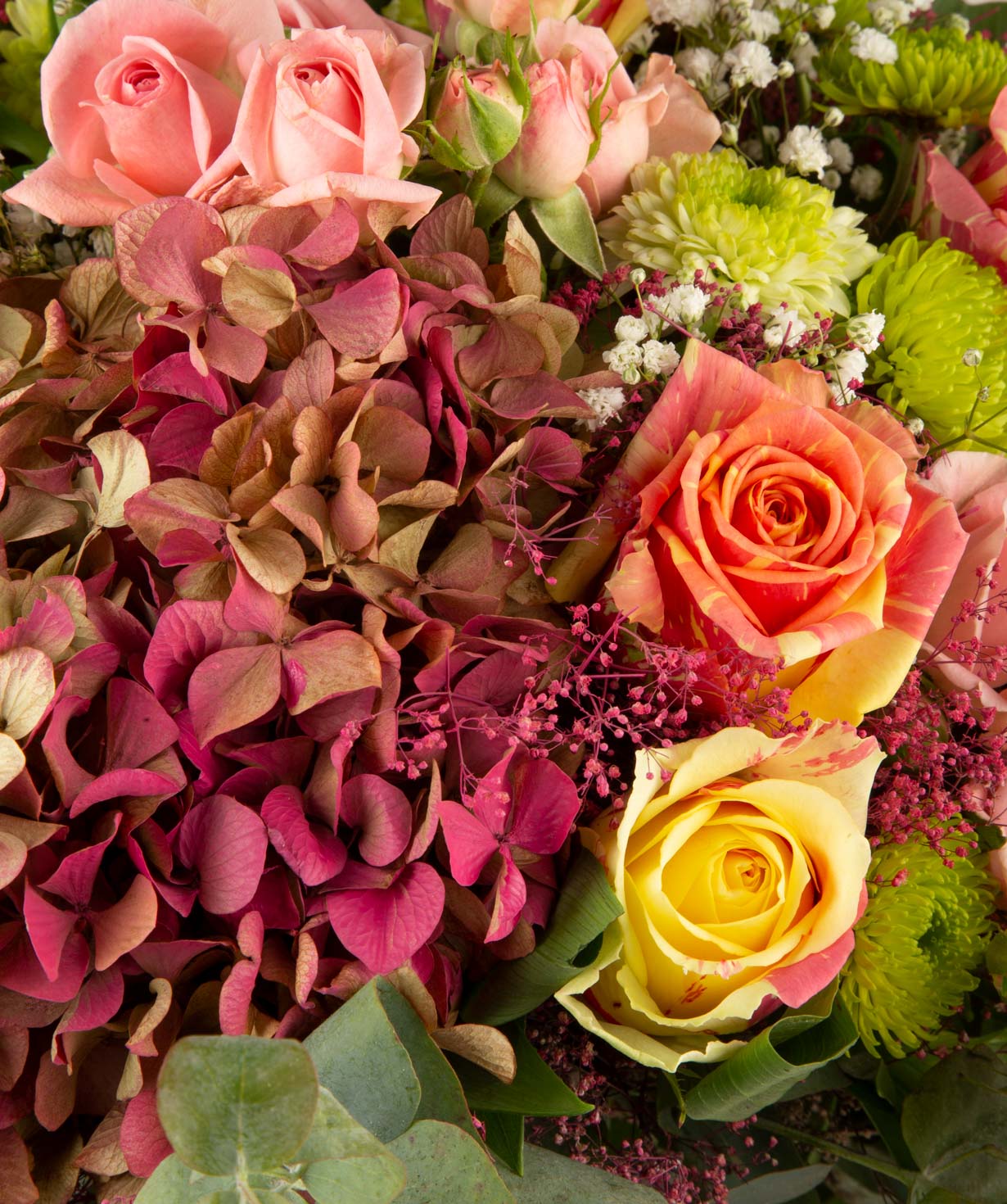 Ծաղկեփունջ «Նորթ Բեյ» վարդերով, հորտենզիաներով և քրիզանթեմներով