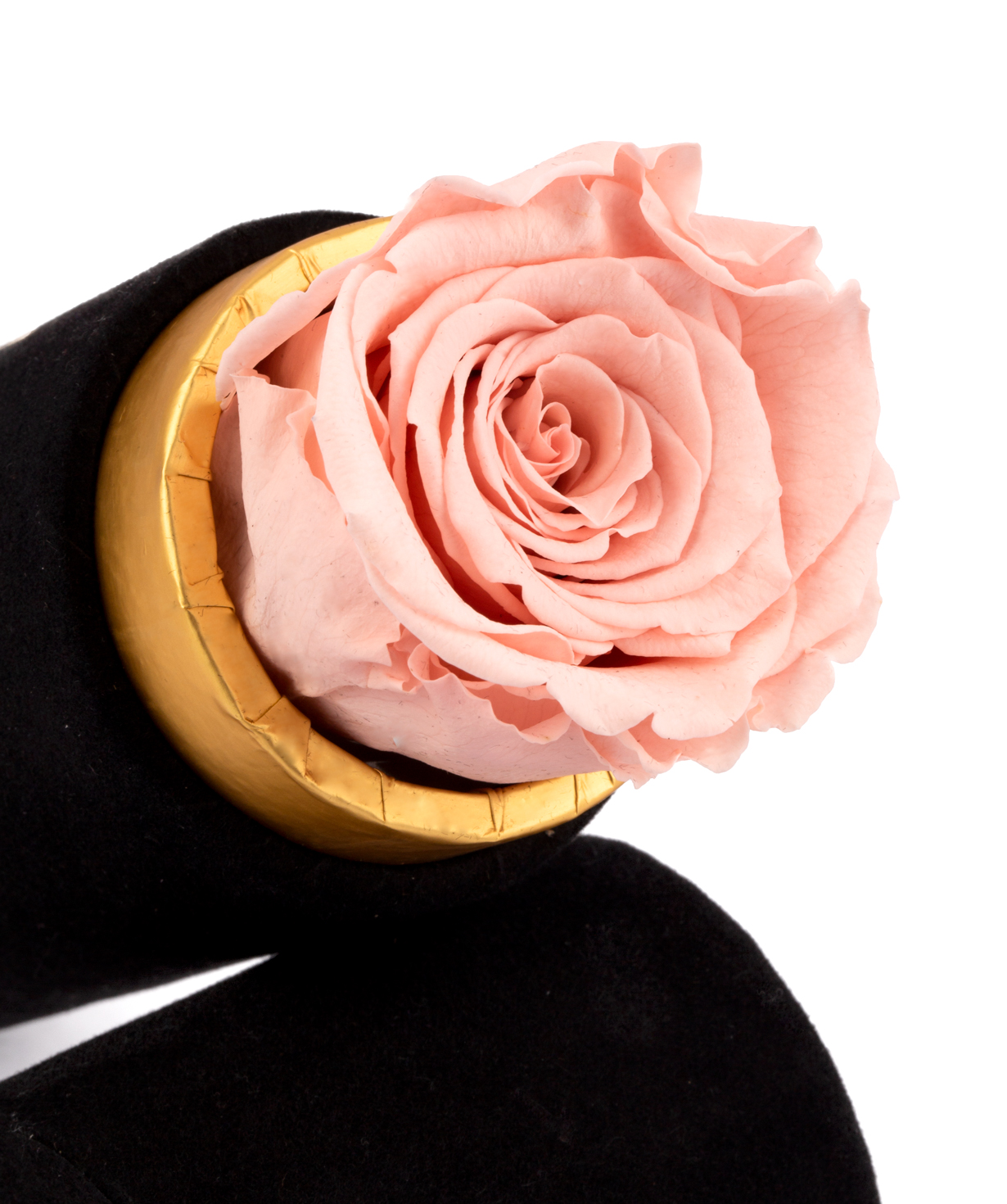 Роза `EM Flowers` розовая вечная в коробке 18 см