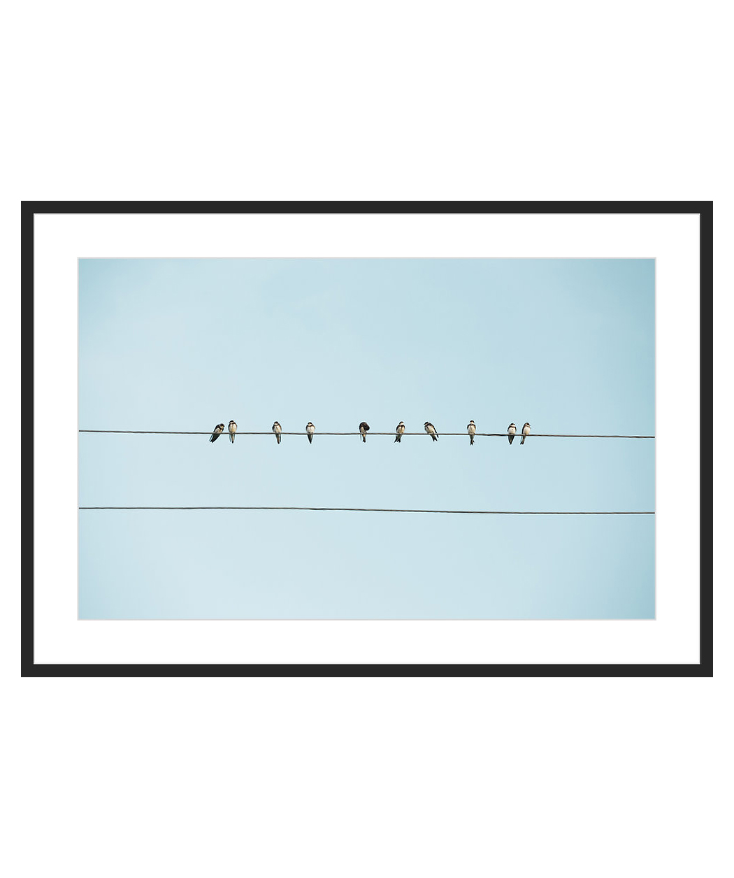 Art-print ''Birds on Wires in Rural Armenia''