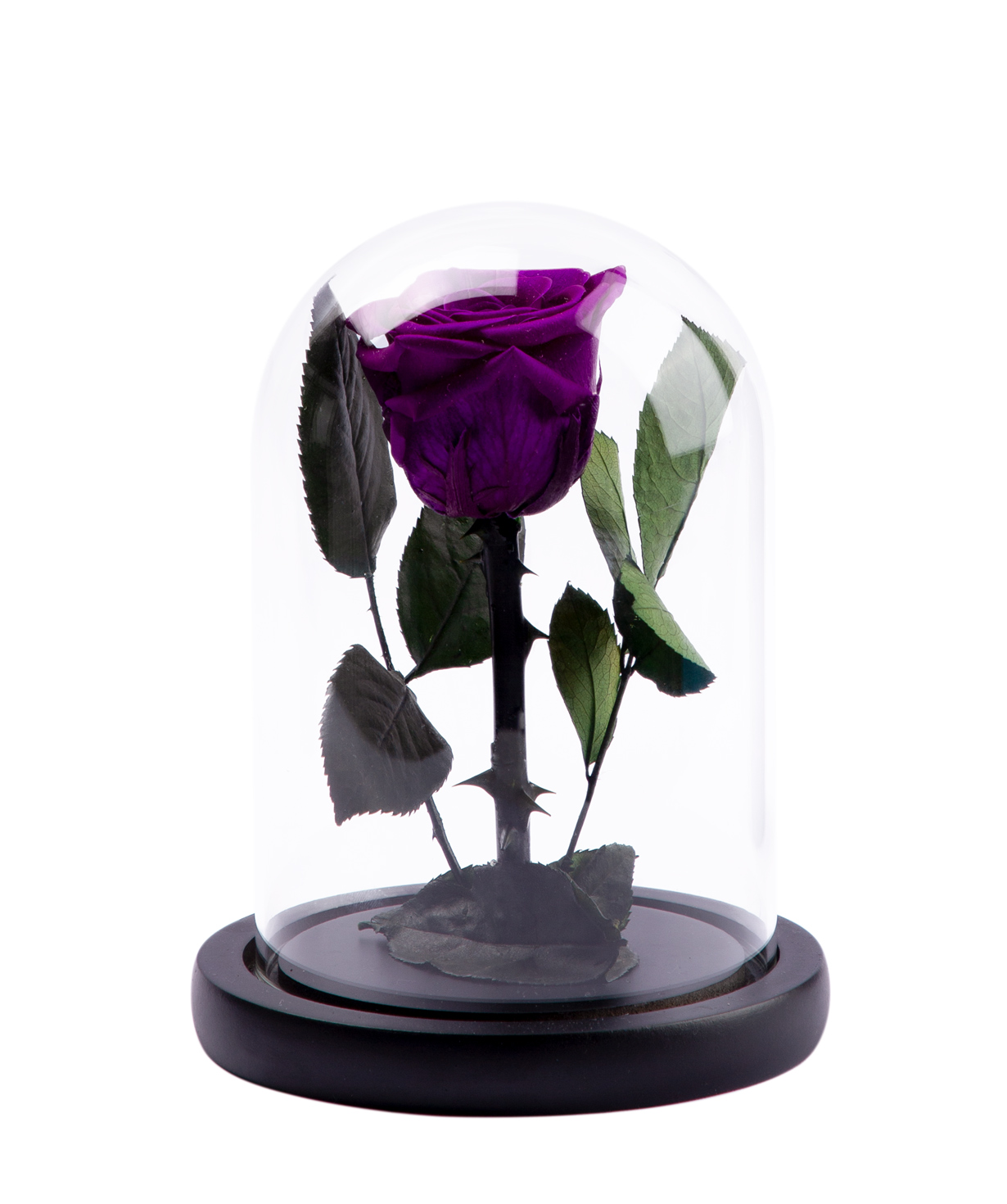 Роза `EM Flowers` вечная 17 см