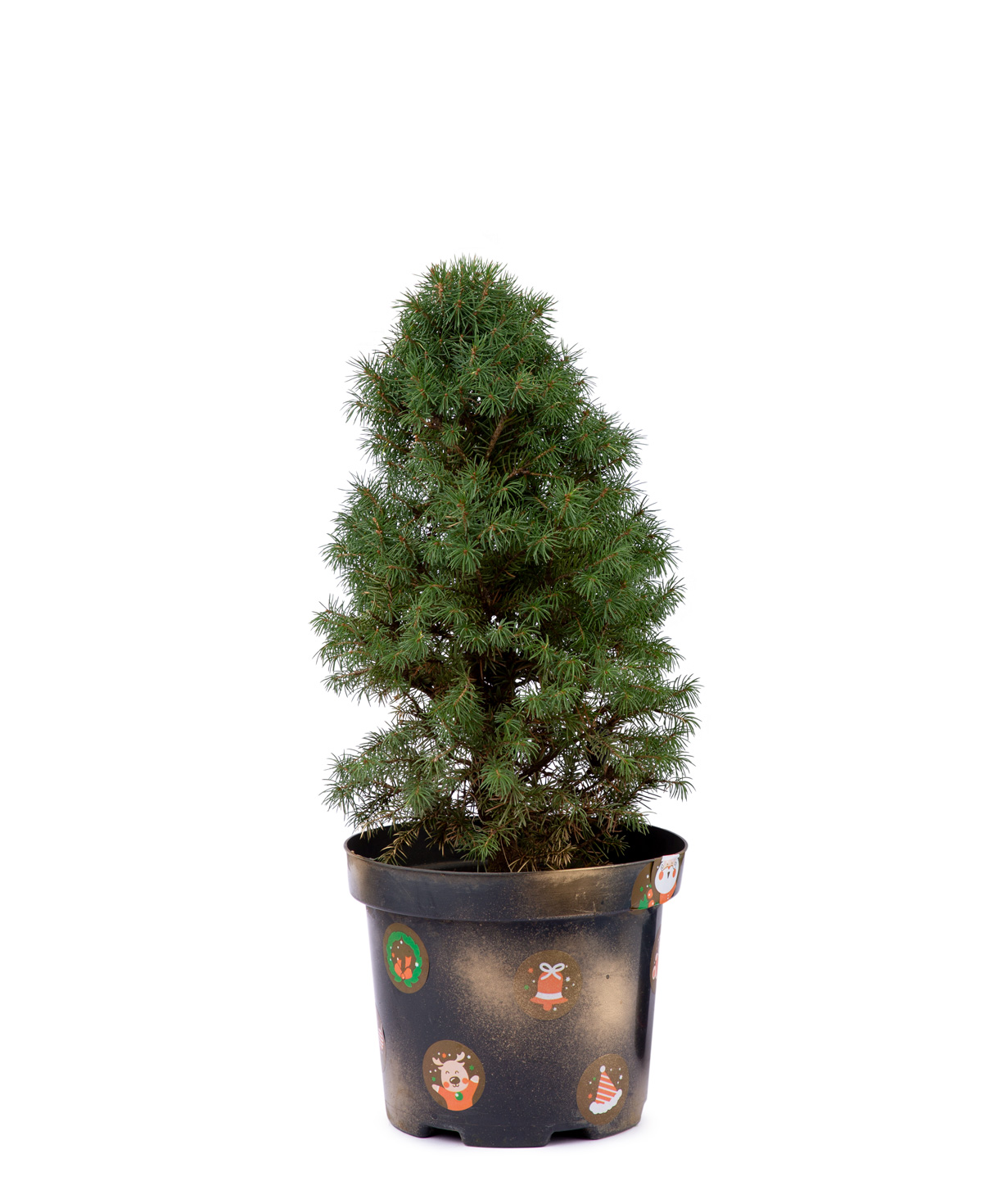 Natural Christmas tree `EM Flowers` fir cone N2