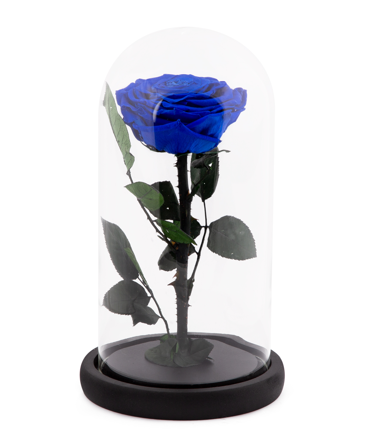 Rose `EM Flowers` eternal blue 27 cm in a flask
