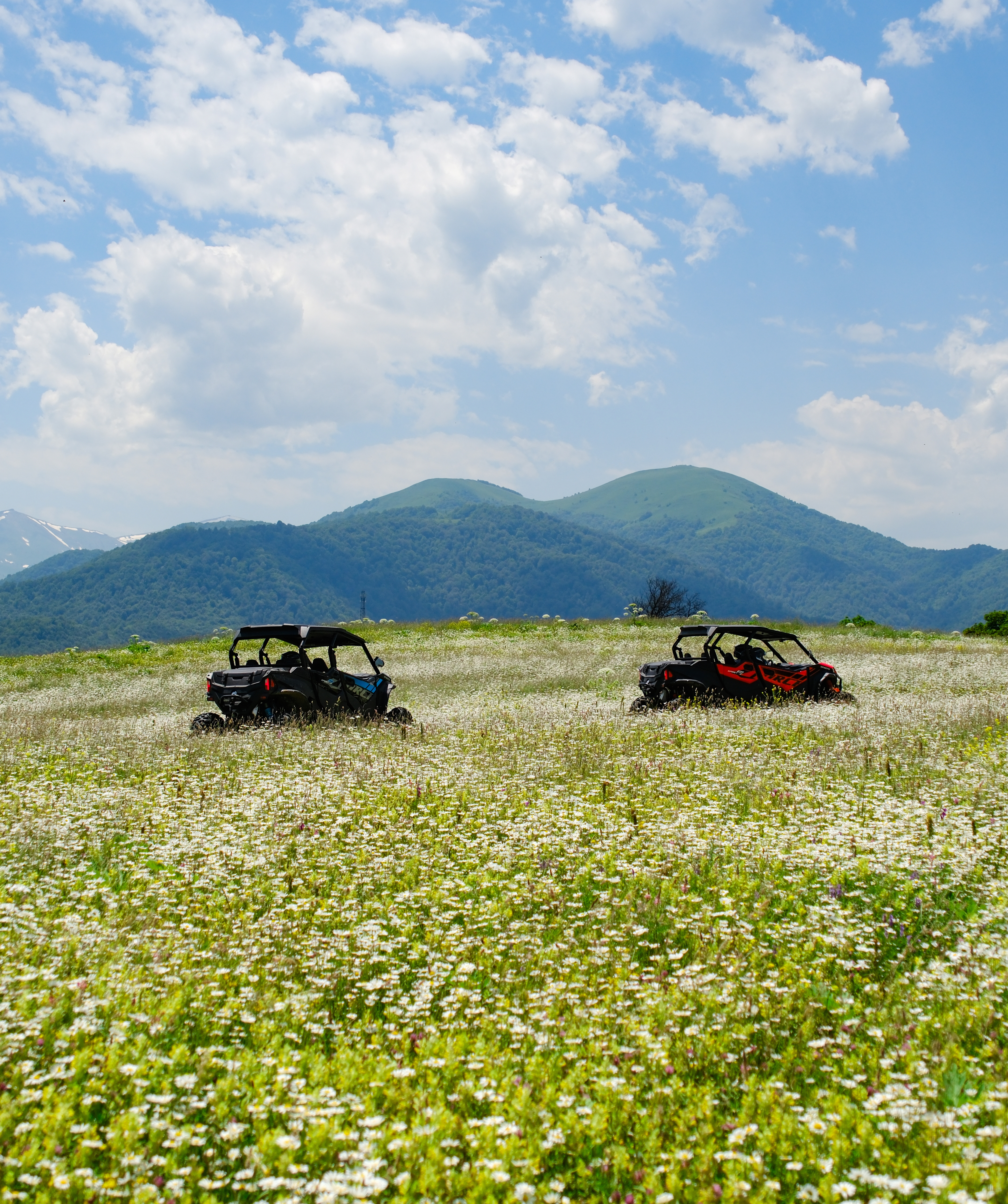 Buggy tour «Dilijan Adventures» Armenian Herbal Picking Experience, for 5 people