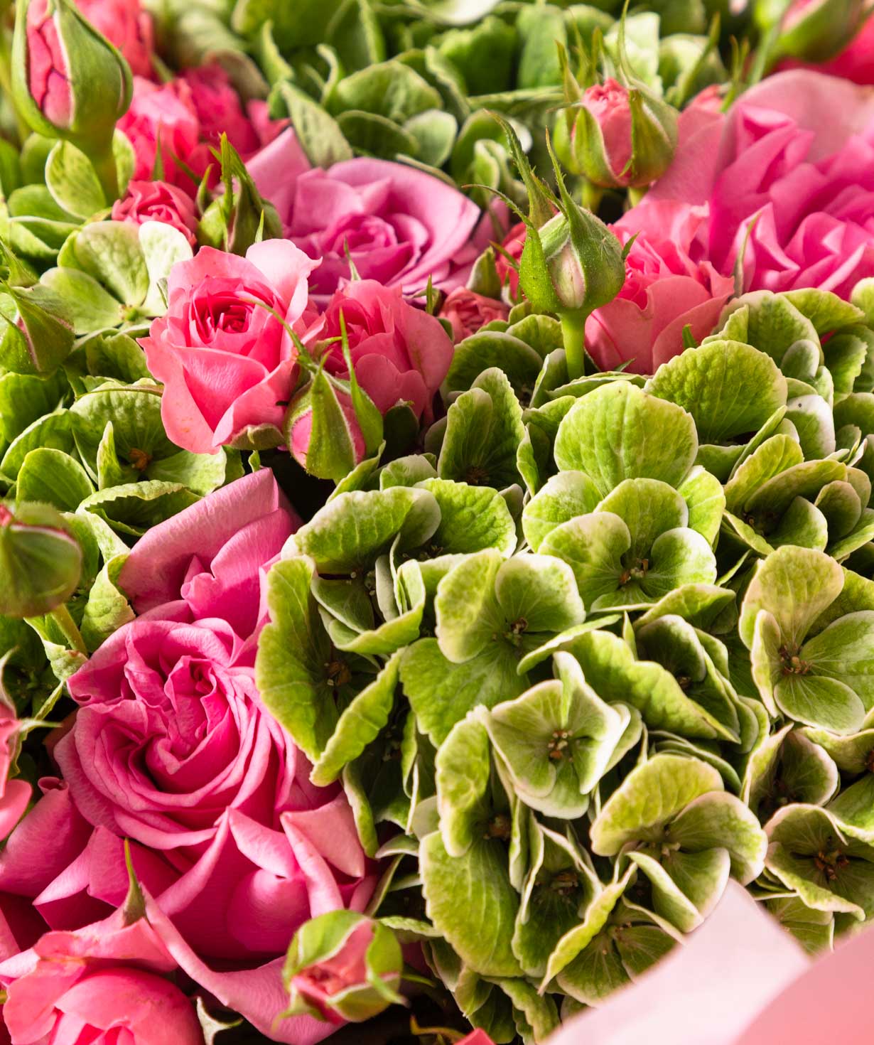 Bouquet “Pink Harmony”