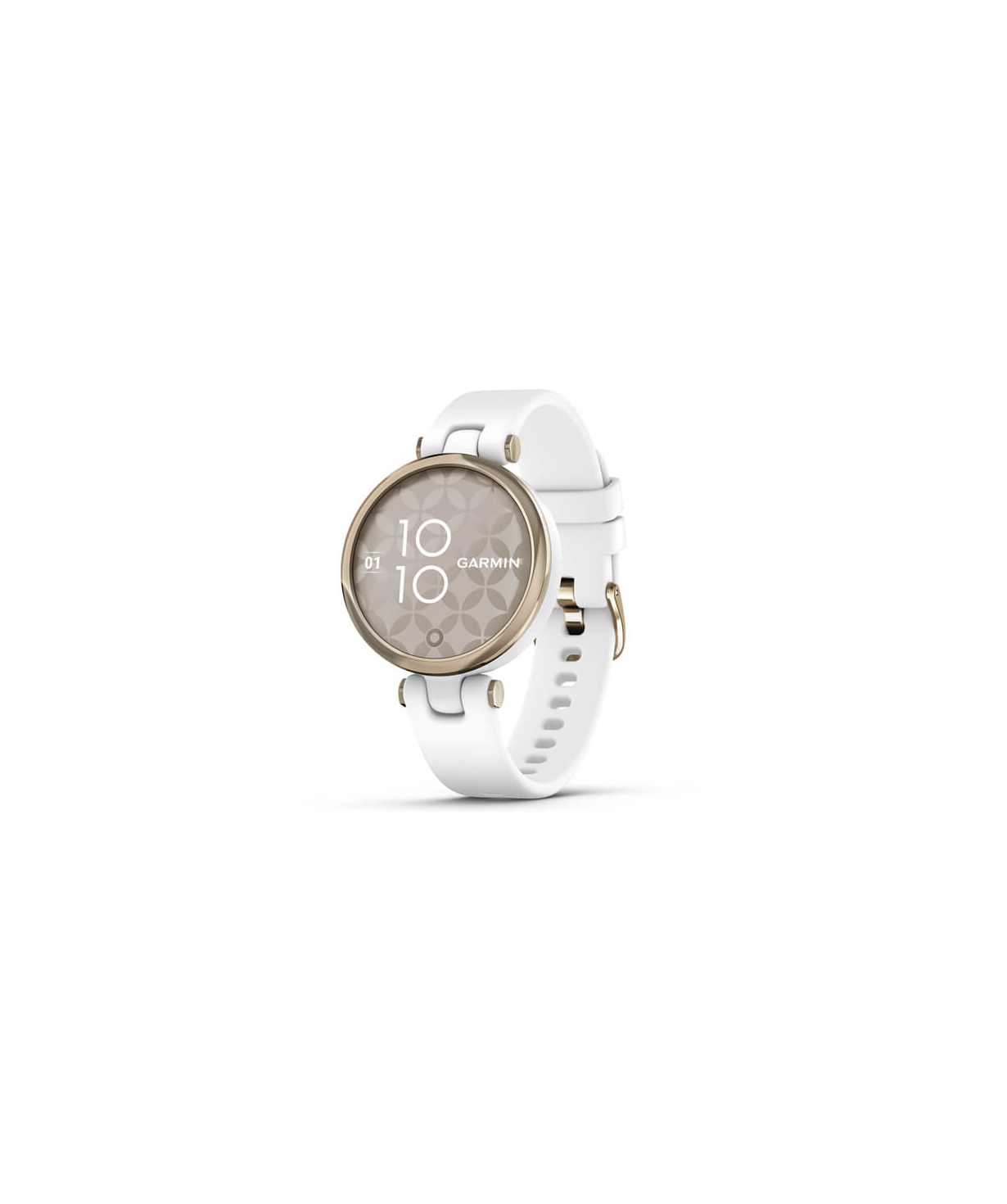 Watches `Garmin` 010-02384-10