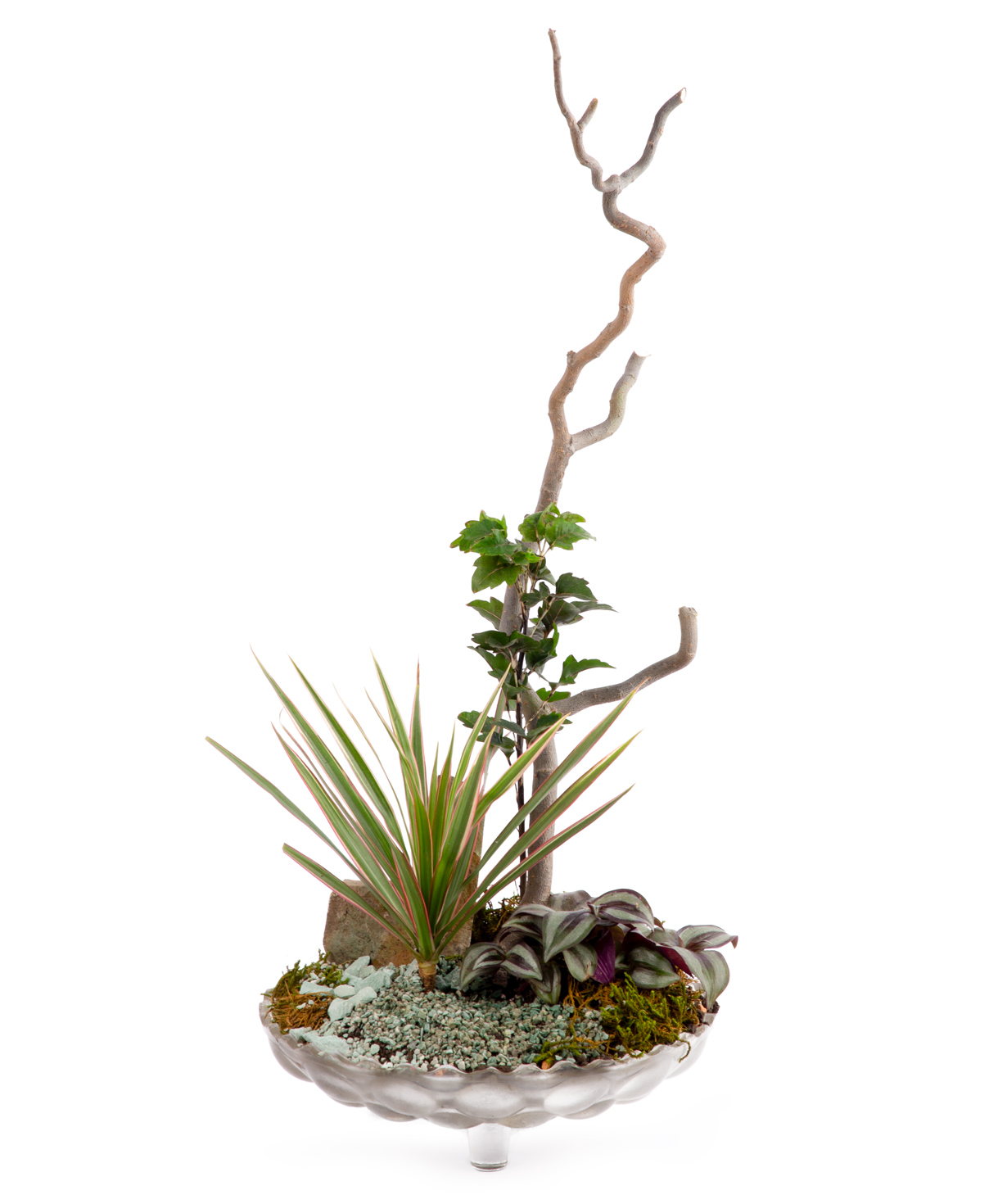 Композиция ''Orchid Gallery'' с растениями